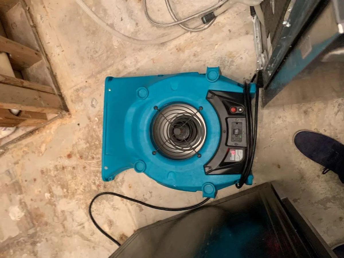 Air mover drying equipment for Mold Remediation & Removal in Fort Dodge